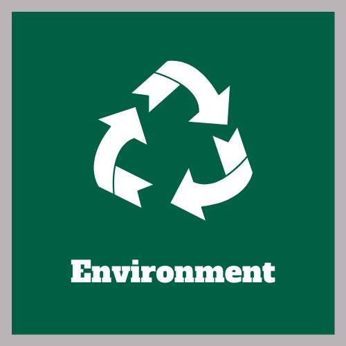 Environment Icon